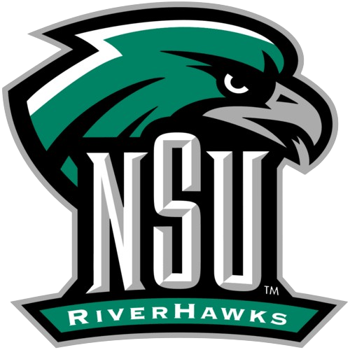 Northeastern State University resized removebg preview