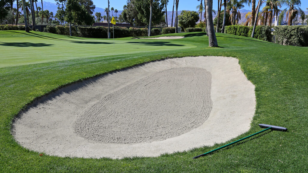 Bunker Rake